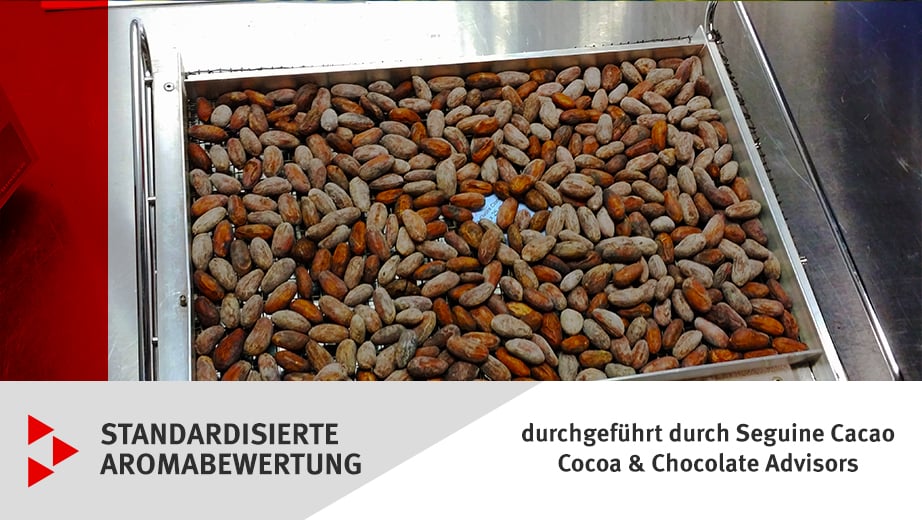 Aromabewertung Kakaobohnen